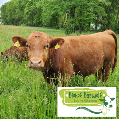 Rinder und Schafe leben frei und natürlich auf dem Bio-Hof Bärwolf. Das schmeckt man! Und der Direktvertrieb im kleinen Hofladen spart für alle den Anteil des Handels, was dazu führt, dass das Super-Fleisch den gleichen Preis wie Rewe-Industrieware hat.