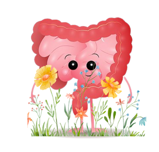 Der Darm ist unsere Immun- und Gesundheitszentrale schlechthin. Tue ihm und seinen Helfern - den Millionen Bakterien etwas gutes und er wird es dir 10-fach zurückgeben. Dafür ist mein Paket "Darmsanierung" gemacht.