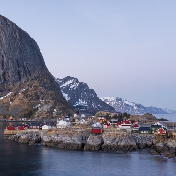 Eine hochwertige Versorgung mit Omega-3 und vor allem mit EPA und DHA ist ein wichtiger Teil für die geistige und körperliche Gesundheit. Und weil wir diese Fette kaum noch selbst erzeugen können, brauchen wir die Zusatzquellen aus Fisch, Krill oder Algen. Die norwegische Firma Equology bietet genau das in einer breiten Palette mit vielen nützlichen Kombinationen.